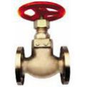 Marine valve item